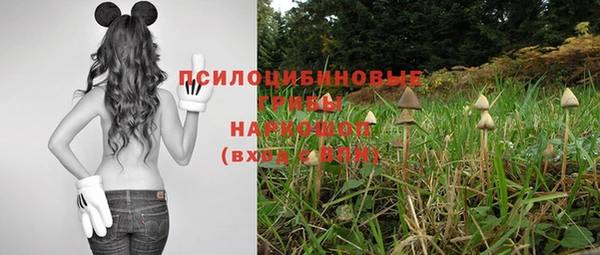 бутират Белокуриха
