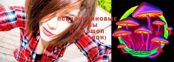 молекула духа Белоозёрский