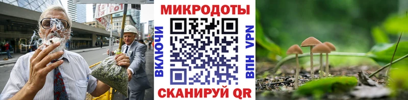 hydra онион  Вельск  Галлюциногенные грибы мицелий 