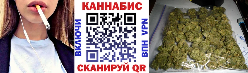 Каннабис OG Kush  Вельск 